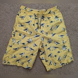 Cat & Jack Target Youth Boys Yellow Seagull Swim Trunks Small 6 / 7
